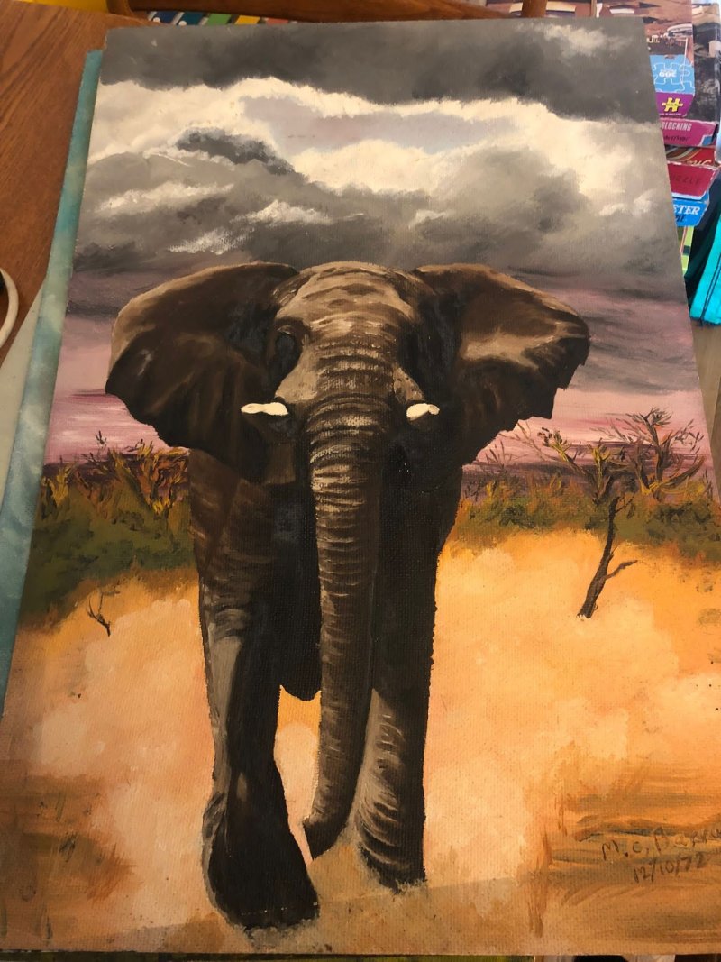 elephant