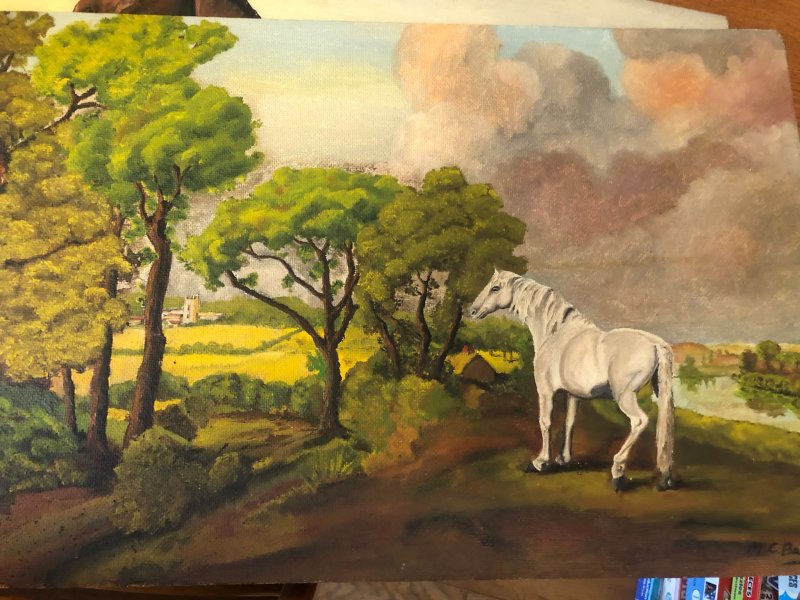 white horse