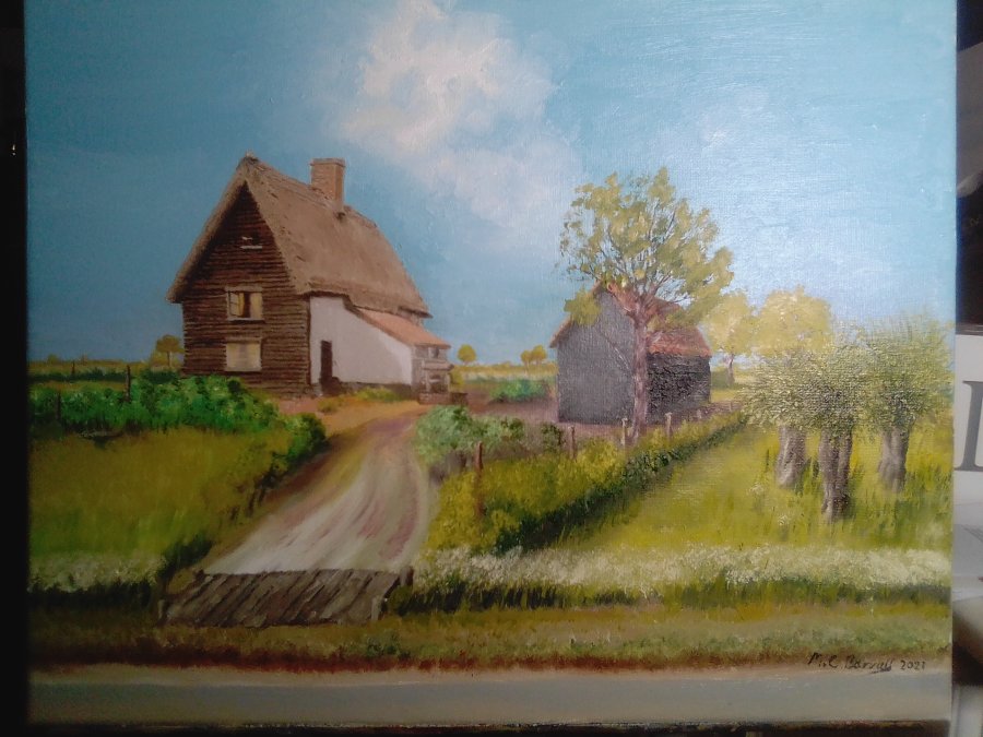 willow row
                  cottages
